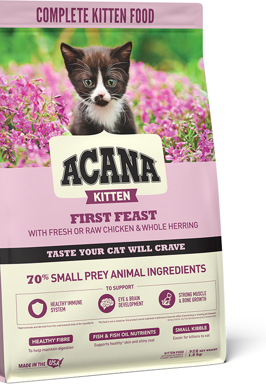 First Feast Kitten